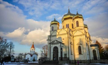 В канун праздника Сретения Господня. Проповедь митрополита Ставропольского и Невинномысского Кирилла в Казанском кафедральном соборе г. Ставрополя  14 февраля 2020 года